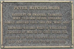 Peter Mitchelmore (1833)